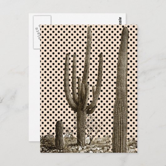 Carte postale de la diva du désert (Devant / Derrière)