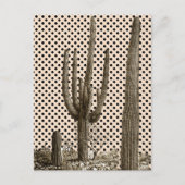 Carte postale de la diva du désert (Devant)