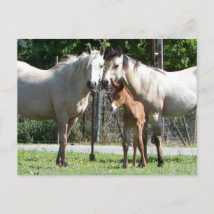 Carte postale de la famille