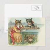 carte postale de la famille cat (Devant / Derrière)