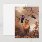 Carte postale de la famille des colibris (Devant / Derrière)