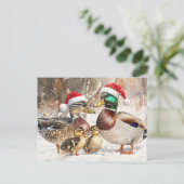 Carte postale de la famille Duck (Debout devant)