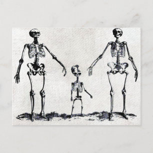 Carte postale de la famille Skeleton