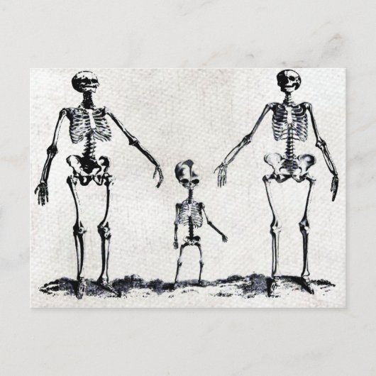 Carte postale de la famille Skeleton (Devant)
