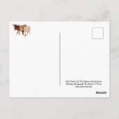 Carte postale de la faune, buron sauvage, âne (Dos)