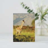Carte postale de la faune de Baby Giraffe (Debout devant)