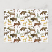 Carte postale de la faune des parcs nationaux (Devant)