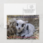 CARTE POSTALE DE LA FERME DE COBBLEROCK RIDGE (Devant / Derrière)