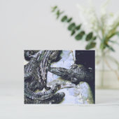 Carte postale de la ferme de crocodiles (Debout devant)