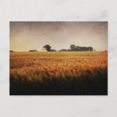 Carte postale de la ferme Texas (Devant)