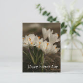 Carte postale de la Fête des mères de Crocus blanc (Debout devant)