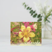 Carte postale de la fleur de colonnette jaune (Debout devant)