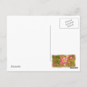 Carte postale de la fleur de colonnette jaune (Dos)