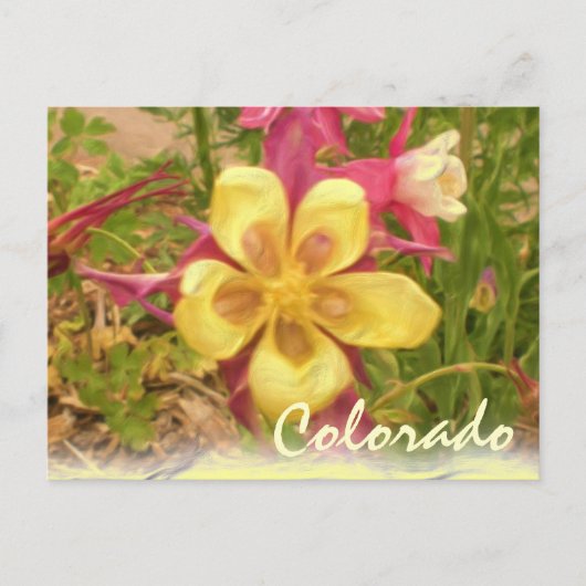 Carte postale de la fleur de colonnette jaune (Devant)