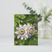 Carte postale de la fleur de la passion violette (Debout devant)