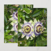 Carte postale de la fleur de la passion violette (Devant / Derrière)