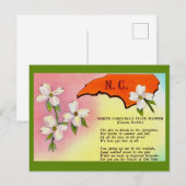 Carte postale de la fleur de l'État de Caroline du (Devant / Derrière)