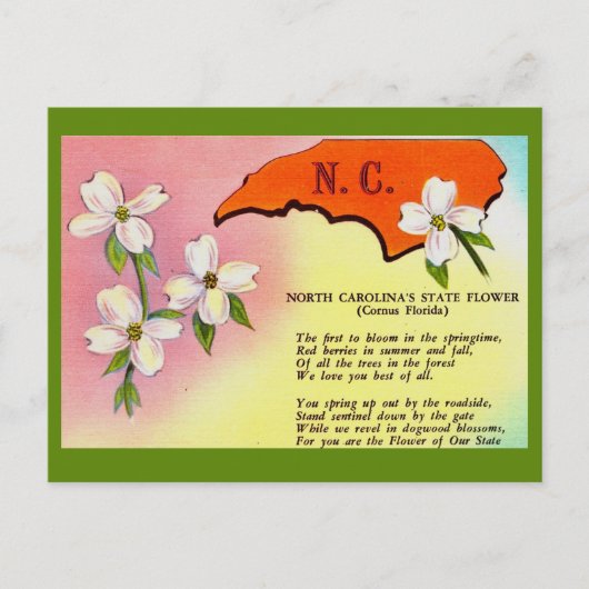 Carte postale de la fleur de l'État de Caroline du (Devant)