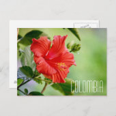 carte postale de la fleur hibiscus colombienne (Devant / Derrière)