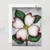 Carte postale de la floraison du cornouiller (Devant / Derrière)