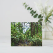 Carte postale de la flore tropicale d'el yunque ra (Debout devant)