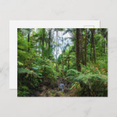 Carte postale de la flore tropicale d'el yunque ra (Devant / Derrière)