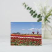 Carte postale de la folie des tulipes (Debout devant)