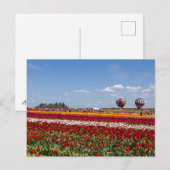 Carte postale de la folie des tulipes (Devant / Derrière)