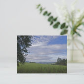Carte postale de la forêt bavaroise (Debout devant)