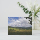 Carte postale de la forêt bavaroise (Debout devant)