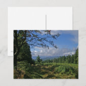 Carte postale de la forêt bavaroise (Devant / Derrière)