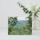 Carte postale de la forêt Bernheim (Debout devant)
