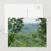 Carte postale de la forêt Bernheim (Devant / Derrière)