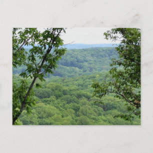 Carte postale de la forêt Bernheim