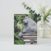 Carte postale de la forêt de singes (Debout devant)