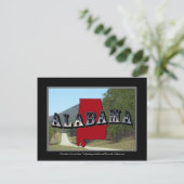 Carte postale de la forêt de Talladega de Cheaha (Debout devant)