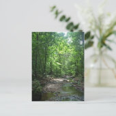 Carte postale de la forêt du Suriname (Debout devant)