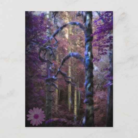 Carte postale de la forêt violette mystique (Devant)