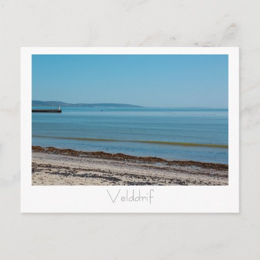Carte postale de la jetée de Velddrif oiseaux océa (Devant)