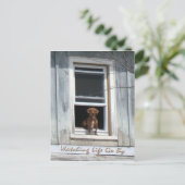 Carte postale de la journée du chien (Debout devant)