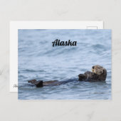 Carte postale de la loutre (Devant / Derrière)