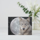 Carte postale de la Lune du Loup (Debout devant)