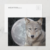 Carte postale de la Lune du Loup (Devant / Derrière)