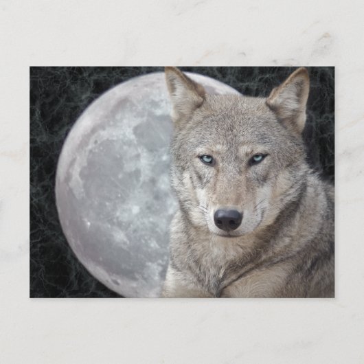 Carte postale de la Lune du Loup (Devant)