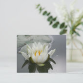 Carte postale de la lys d'eau (Debout devant)