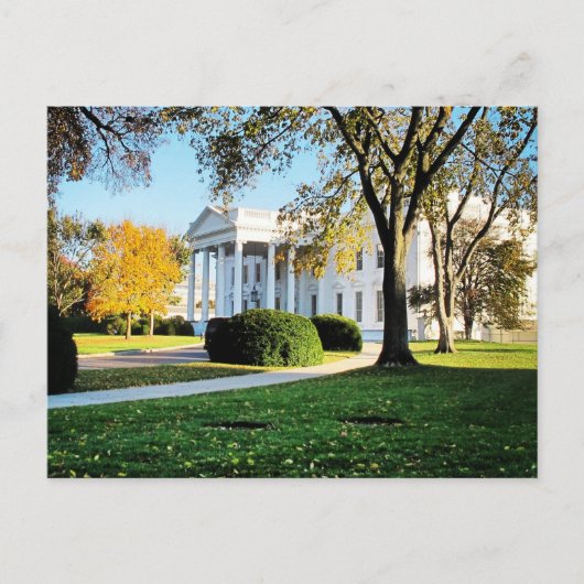 Carte postale de la Maison Blanche - Washington, D (Devant)