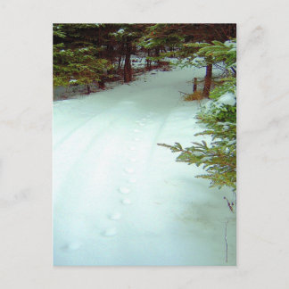 Carte postale de la marche hivernale