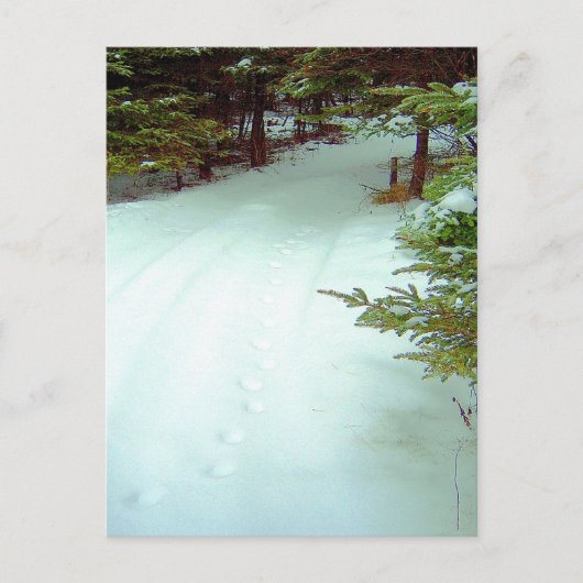 Carte postale de la marche hivernale (Devant)