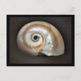 Carte postale de la mémoire de plage