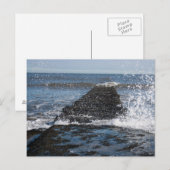 Carte postale de la mer agitée (Devant / Derrière)